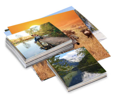Pasfotovel met 8 stuks